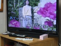 IMG 1976