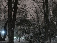 IMG 3859