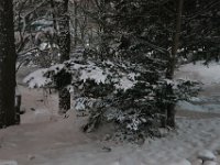 IMG 3861