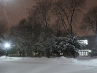 IMG 3865