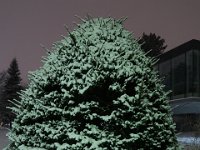 IMG 3867