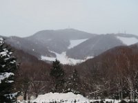 IMG 3921