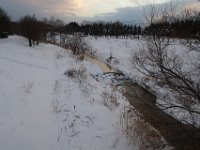 IMG 3922