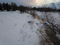 IMG 3923
