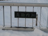 IMG 3924