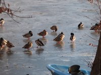 IMG 4366