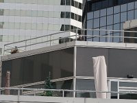 IMG 4397