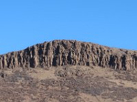 IMG 4436