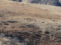 IMG 4457