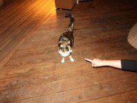 IMG 4472