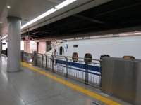 IMG 4531