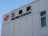 IMG 4536