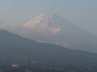 IMG 4543