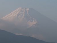 IMG 4544
