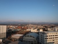IMG 4547