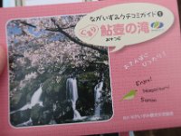 IMG 4558