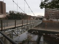 IMG 4559
