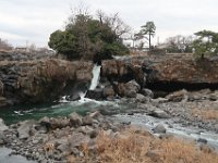 IMG 4568