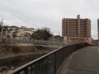 IMG 4571