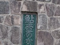 IMG 4573