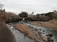 IMG 4575