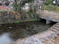 IMG 4577