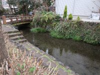 IMG 4578