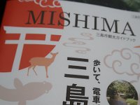 IMG 4584