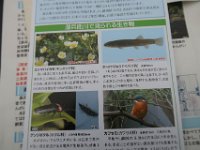 IMG 4585