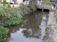 IMG 4586