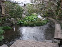 IMG 4589