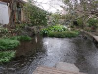 IMG 4591