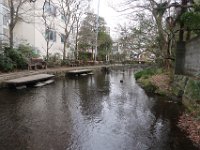 IMG 4595
