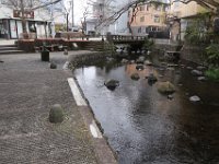 IMG 4596