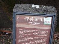 IMG 4599