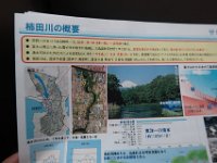 IMG 4603