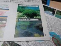 IMG 4606