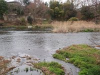 IMG 4612