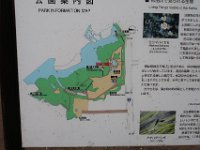 IMG 4616