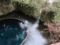 IMG 4620