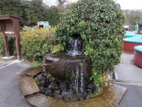 IMG 4628