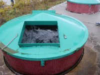 IMG 4631
