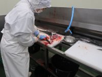 IMG 4657
