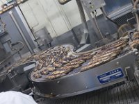IMG 4670