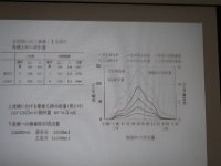 IMG 4881