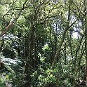 IMG_3224