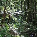 IMG_3225