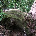 IMG_3226