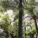 IMG_3227