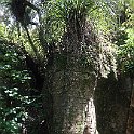 IMG_3229